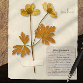 Oud Herbarium Oud Papier Specimen Label 