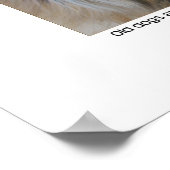 Oud hondencitaat poster (Hoek)