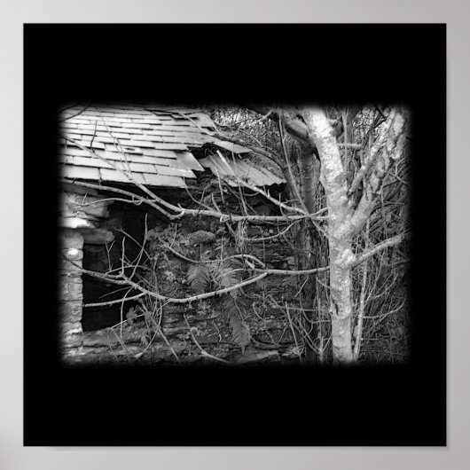 Oud huisje en boom. Zwart-Wit. Poster (Voorkant)