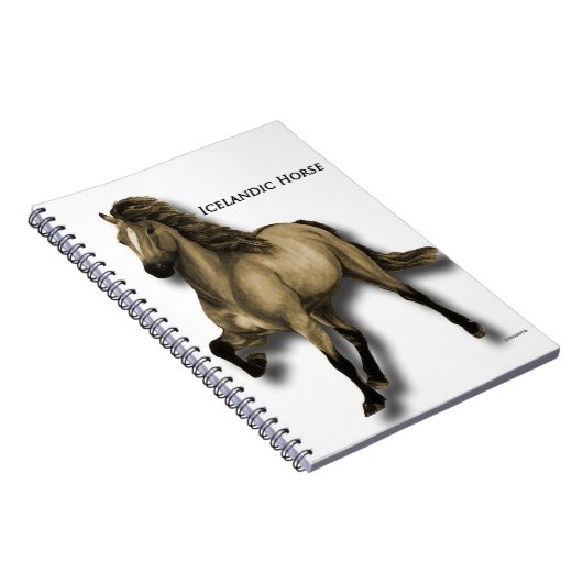 Oud Iceland Notitieboek (Rechterzijde)