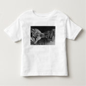 Oud-Indiaas witboek-arts op Alaska-foto Kinder Shirts (Voorkant)