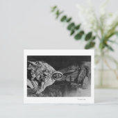 Oud-Indiaas wittekenaar op Alaska foto Briefkaart (Staand voorkant)