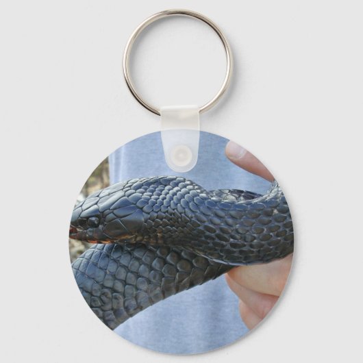 Oud-Indigoslang (Drymarchon corais couperi) Sleutelhanger (Voorkant)