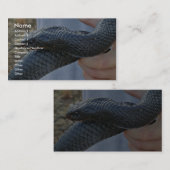 Oud-Indigoslang (Drymarchon corais couperi) Visitekaartje (Voorkant / Achterkant)