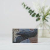 Oud-Indigoslang (Drymarchon corais couperi) Visitekaartje (Staand voorkant)