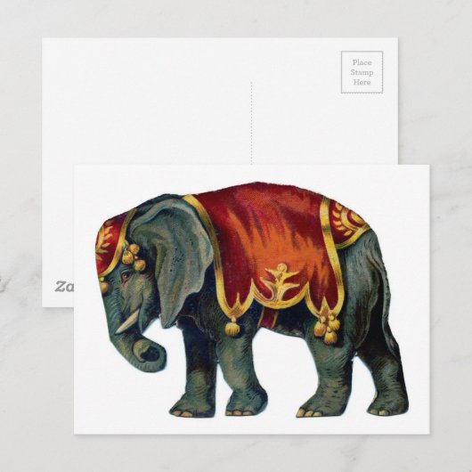 Oud Iustração van circusolifant Briefkaart (Voorkant / Achterkant)