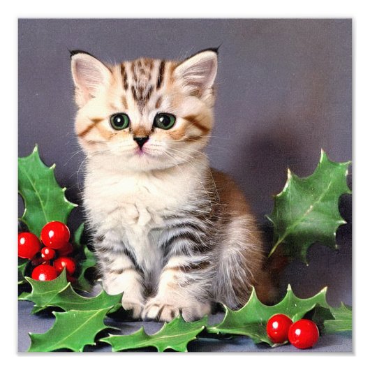 Oud kerstkatje en hulst foto afdruk (Voorkant)