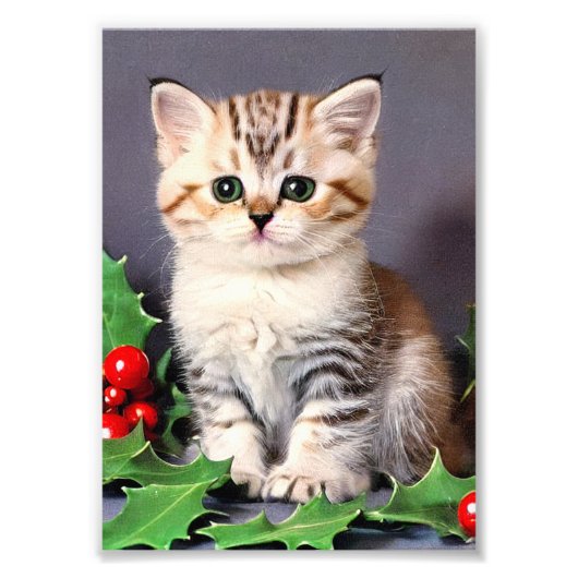 Oud kerstkatje en hulst foto afdruk (Voorkant)
