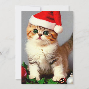 Oud Kerstkatje in Kerstmannenhoed Feestdagenkaart