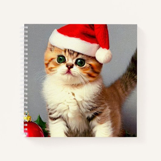 Oud kerstkatje met kerstmuts notitieboek (Voorkant)