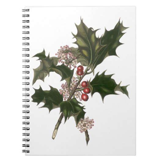 Oud Kerstmis, groene hulstplant met bessen Notitieboek (Voorkant)