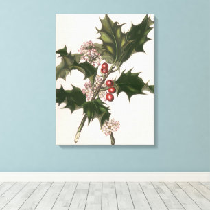Oud Kerstmis, Hulstplant met Rode Bessen Canvas Afdruk