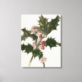 Oud Kerstmis, Hulstplant met Rode Bessen Canvas Afdruk (Voorkant)