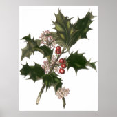 Oud Kerstmis, Hulstplant met Rode Bessen Poster (Voorkant)