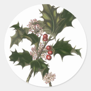 Oud Kerstmis, Hulstplant met Rode Bessen Ronde Sticker