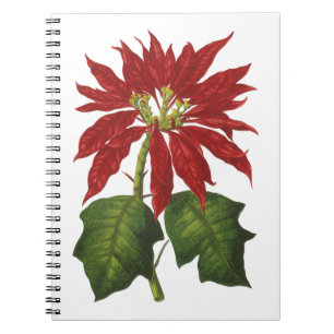 Oud Kerstmis, Rode Poinsettia Winterplant Notitieboek