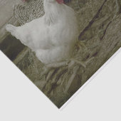 Oud  land van Barnyard Tissuepapier (Detail)