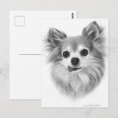 Oud langharig Chihuahua handgeschilderd kunstwerk Briefkaart (Voorkant / Achterkant)