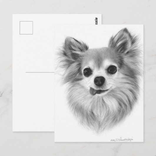 Oud langharig Chihuahua handgeschilderd kunstwerk Briefkaart (Voorkant / Achterkant)