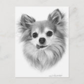 Oud langharig Chihuahua handgeschilderd kunstwerk Briefkaart (Voorkant)