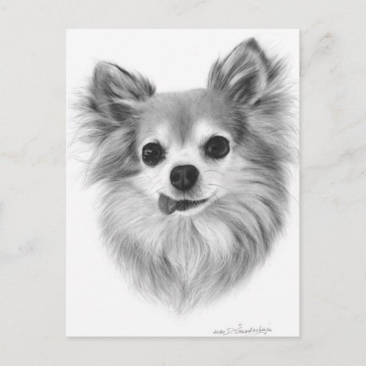 Oud langharig Chihuahua handgeschilderd kunstwerk Briefkaart (Voorkant)