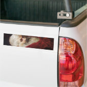 Oud Man in een rode kat (kerstmis) Bumpersticker (Op Truck)