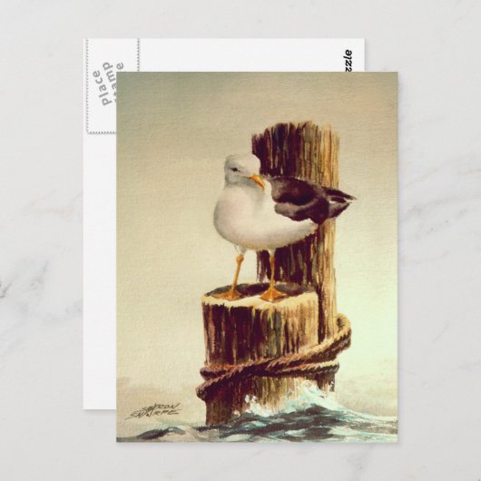 OUD MAN SEAGULL van SHARON SHARPE Briefkaart (Voorkant / Achterkant)