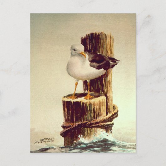 OUD MAN SEAGULL van SHARON SHARPE Briefkaart (Voorkant)