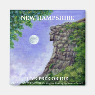OUD MAN VAN HET MOUNTAIN New Hampshire Art Magnet 