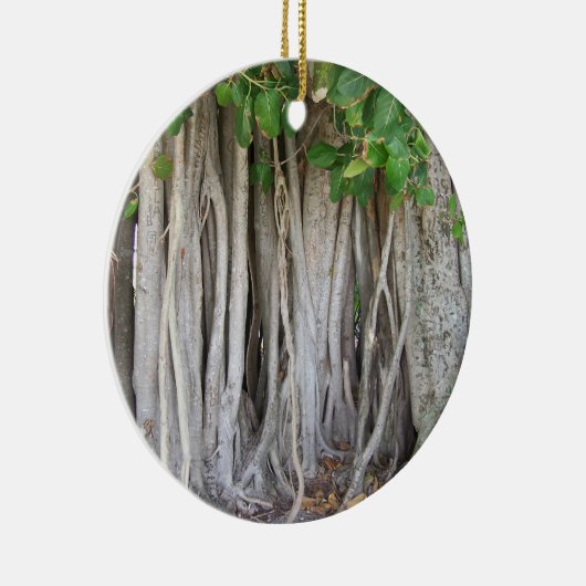 Oud oeroud ficus tree roots background afbeelding keramisch ornament (Rechts)