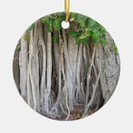Oud oeroud ficus tree roots background afbeelding keramisch ornament (Voorkant)