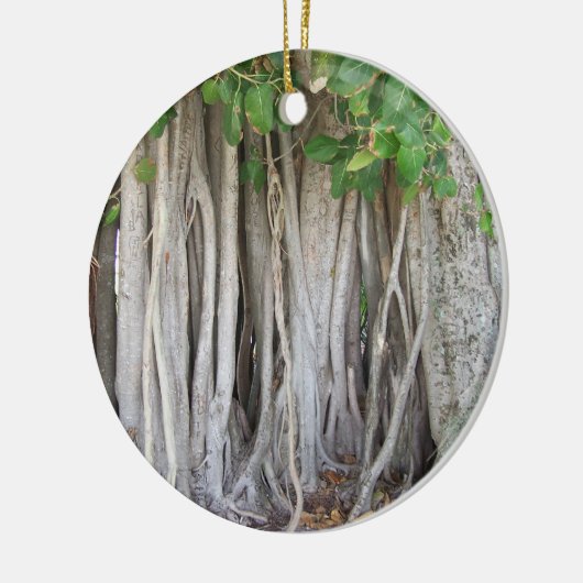 Oud oeroud ficus tree roots background afbeelding keramisch ornament (Links)