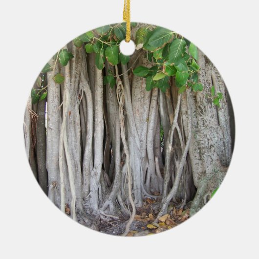 Oud oeroud ficus tree roots background afbeelding keramisch ornament (Achterkant)