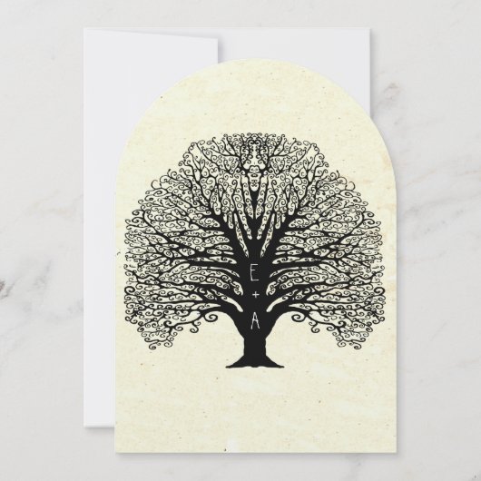 Oud Papier Oud Brondenweduwen Kaart (Achterkant)