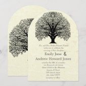 Oud Papier Oud Brondenweduwen Kaart (Voorkant / Achterkant)