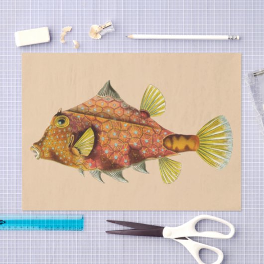 oud papier voor visschroot (Craft)