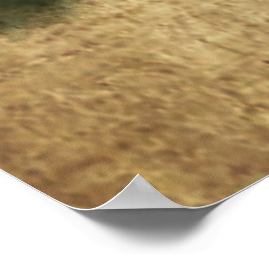 oud pony-rijstpapier poster (Hoek)