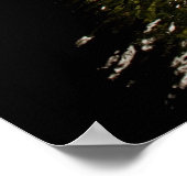 Oud Poster en waterwiel (Hoek)