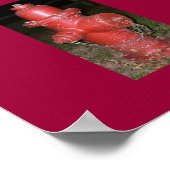 Oud Poster voor brandstoffering (Hoek)