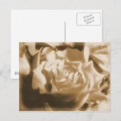 Oud Roos Briefkaart (Voorkant / Achterkant)