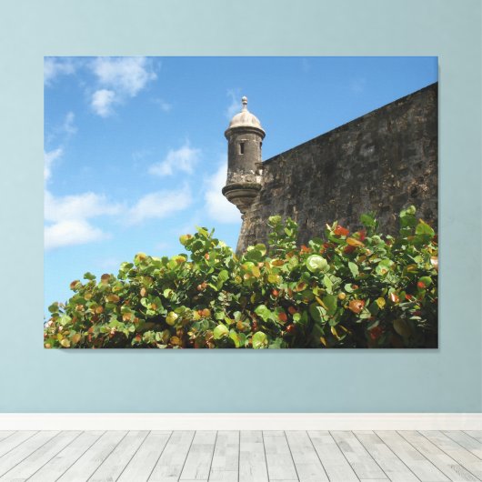 Oud San Juan, Puerto Rico Uitzicht Canvas Afdruk (Insitu (Houten vloer))