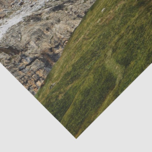 oud schoenenpapier tissuepapier (Detail)