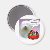 Oud Snoep van Sheepdog Halloween Magneet (Voorkant / Achterkant)