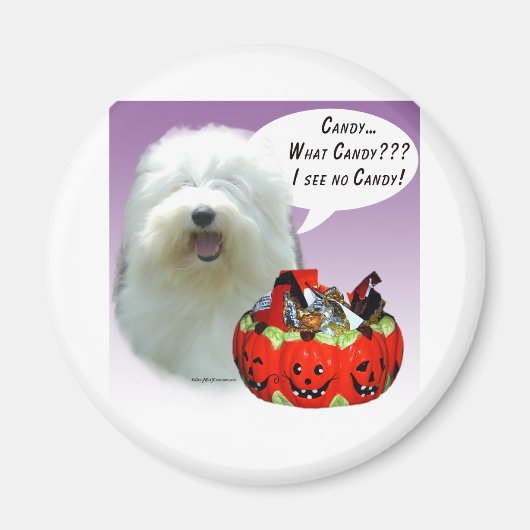 Oud Snoep van Sheepdog Halloween Magneet (Voorkant)