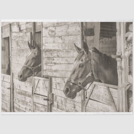 oud stal paarden tissuepapier (Voorkant)