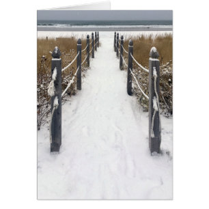 oud strand van orchard in de winter