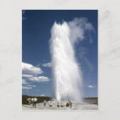 Oud Trouw 1948 Briefkaart (Voorkant)