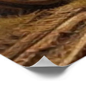 Oud verlaten park mooi poster (Hoek)