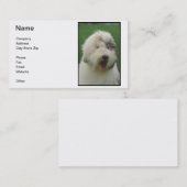 Oud Visitekaartje van Sheepdog (Voorkant / Achterkant)