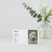 Oud Visitekaartje van Sheepdog (Staand voorkant)